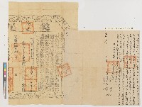 藏品(光緒十三年新港社陳云能向大州庄柯標立轉典契字（附契尾）)的圖片